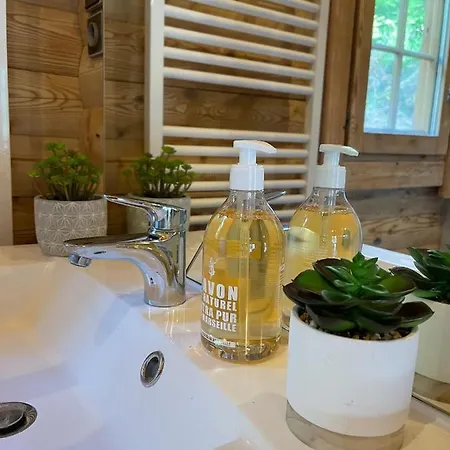 Chalet Le Refuge De Belbriette, Au Coeur De La Nature Avec Xonrupt-Longemer