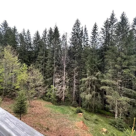 Chalet Le Refuge De Belbriette, Au Coeur De La Nature Avec