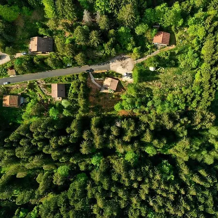 Le Refuge De Belbriette, Au Coeur De La Nature Avec * Xonrupt-Longemer