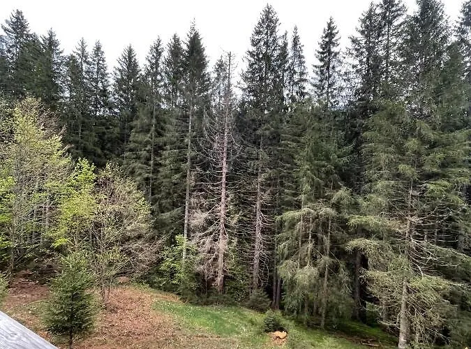 شاليه Le Refuge De Belbriette, Au Coeur De La Nature Avec