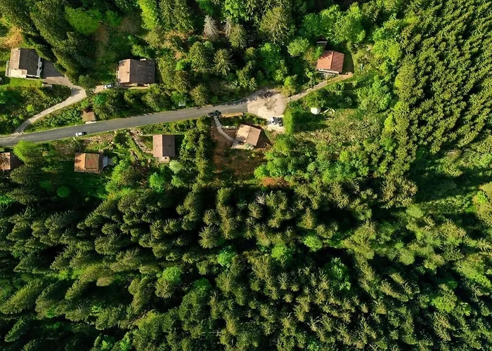 Le Refuge De Belbriette, Au Coeur De La Nature Avec * Xonrupt-Longemer